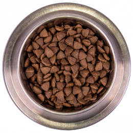 "MONGE" Dog Speciality Line Monoprotein корм для взрослых собак всех пород, из лосося с рисом