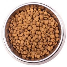 "MONGE" VetSolution Dog Gastrointestinal сухой корм Гастро для щенков 1,5 кг