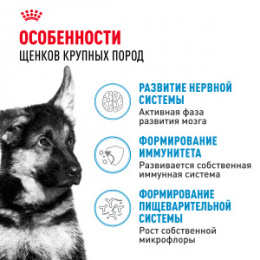 "Royal Canin" Maxi Puppy корм для щенков крупных пород