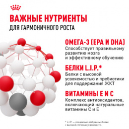 "Royal Canin" Maxi Puppy корм для щенков крупных пород