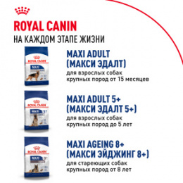 "Royal Canin" Maxi Puppy корм для щенков крупных пород