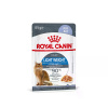 "ROYAL CANIN" Light Weight Care корм для взрослых кошек для профилактики избыточного веса 85 гр желе