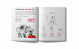 Книга "Померанский Шпиц"