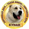 Кунак