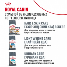 "ROYAL CANIN" Hairball Care кусочки в соусе для снижения риска образования волосянных комочков, 85 г