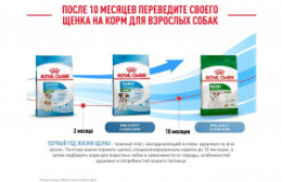 "Royal Canin" Mini Starter корм для щенков мелких размеров до 2-х месяцев, беременных и кормящих сук