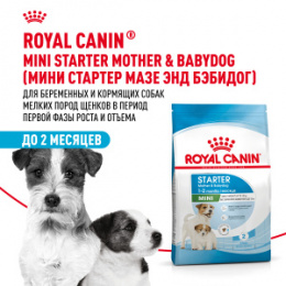 "Royal Canin" Mini Starter корм для щенков мелких размеров до 2-х месяцев, беременных и кормящих сук