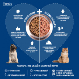 "MONGE" Dog Speciality Line Monoprotein корм для взрослых собак всех пород, из ягненка с рисом и кар