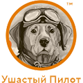 Ушастый пилот