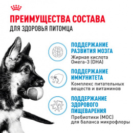 "Royal Canin" Maxi Puppy корм для щенков крупных пород