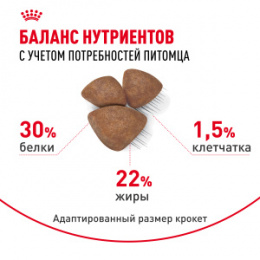 "Royal Canin" Mini Starter корм для щенков мелких размеров до 2-х месяцев, беременных и кормящих сук