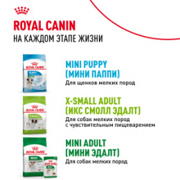 "Royal Canin" X-Small Puppy корм для щенков очень мелких пород до 10 месяцев