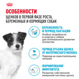 "Royal Canin" Mini Starter корм для щенков мелких размеров до 2-х месяцев, беременных и кормящих сук