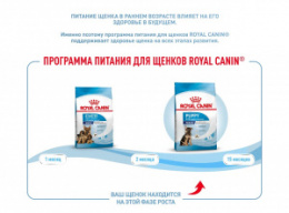 "Royal Canin" Maxi Puppy корм для щенков крупных пород
