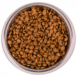 "MONGE" Cat Speciality Line Monoprotein сухой корм для Котят и беременных кошек, из Говядины