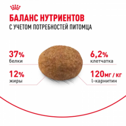 "Royal Canin" Sterilised 37 сухой корм для стерилизованных кошек в возрасте от 1 года до 7 лет