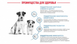"Royal Canin" Mini Starter корм для щенков мелких размеров до 2-х месяцев, беременных и кормящих сук
