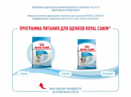 "Royal Canin" Mini Starter корм для щенков мелких размеров до 2-х месяцев, беременных и кормящих сук