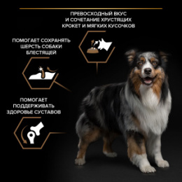 "PURINA Pro Plan" DUO DELICE для взрослых собак средних и крупных пород с говядиной