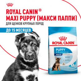 "Royal Canin" Maxi Puppy корм для щенков крупных пород