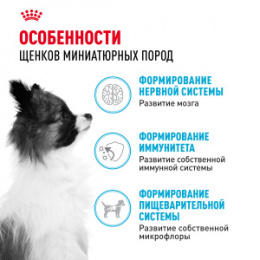 "Royal Canin" X-Small Puppy корм для щенков очень мелких пород до 10 месяцев