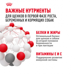 "Royal Canin" Mini Starter корм для щенков мелких размеров до 2-х месяцев, беременных и кормящих сук