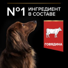 "PURINA Pro Plan" Duo Delice корм для взрослых собак мелких пород с говядиной