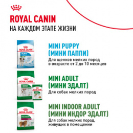 "Royal Canin" Mini Starter корм для щенков мелких размеров до 2-х месяцев, беременных и кормящих сук