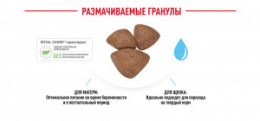 "Royal Canin" Mini Starter корм для щенков мелких размеров до 2-х месяцев, беременных и кормящих сук