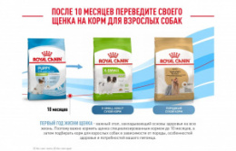 "Royal Canin" X-Small Puppy корм для щенков очень мелких пород до 10 месяцев